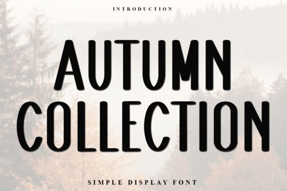 Autumn Collection: A Modern Display Font with Organic Appeal