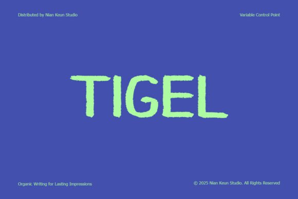 Tigel: A Bold, Handcrafted Typeface for Dynamic Design Projects